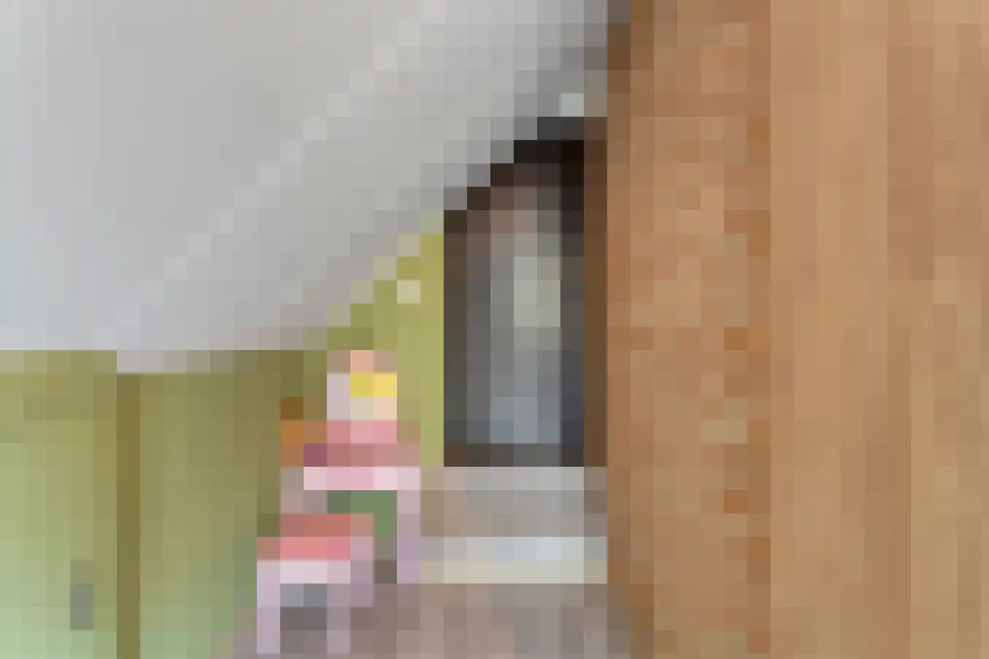 Oude Zwolsestraat 16 Raalte thumbnail 43