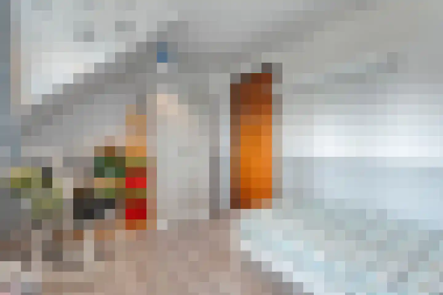 Oude Zwolsestraat 16 Raalte thumbnail 46