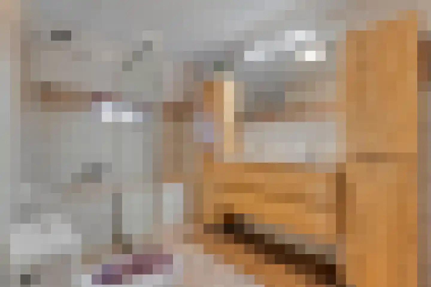 Oude Zwolsestraat 16 Raalte thumbnail 51