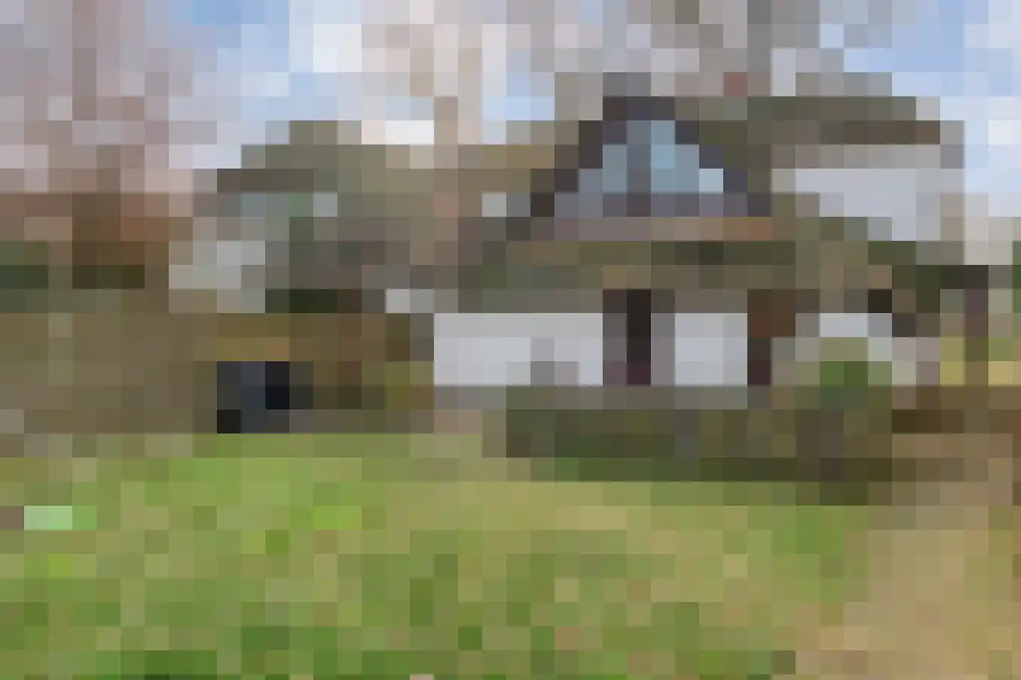 Oude Zwolsestraat 16 Raalte thumbnail 54