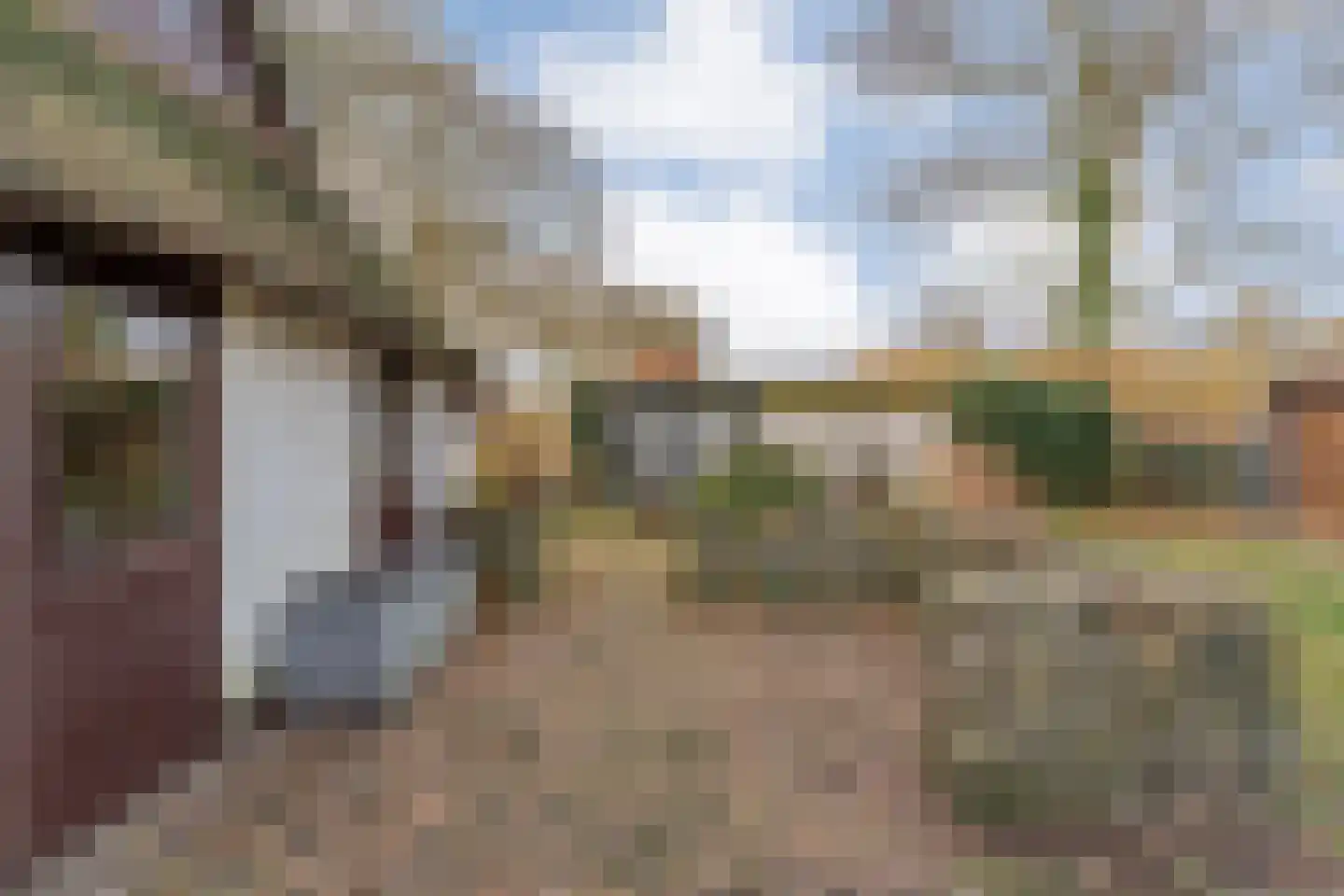 Oude Zwolsestraat 16 Raalte thumbnail 57