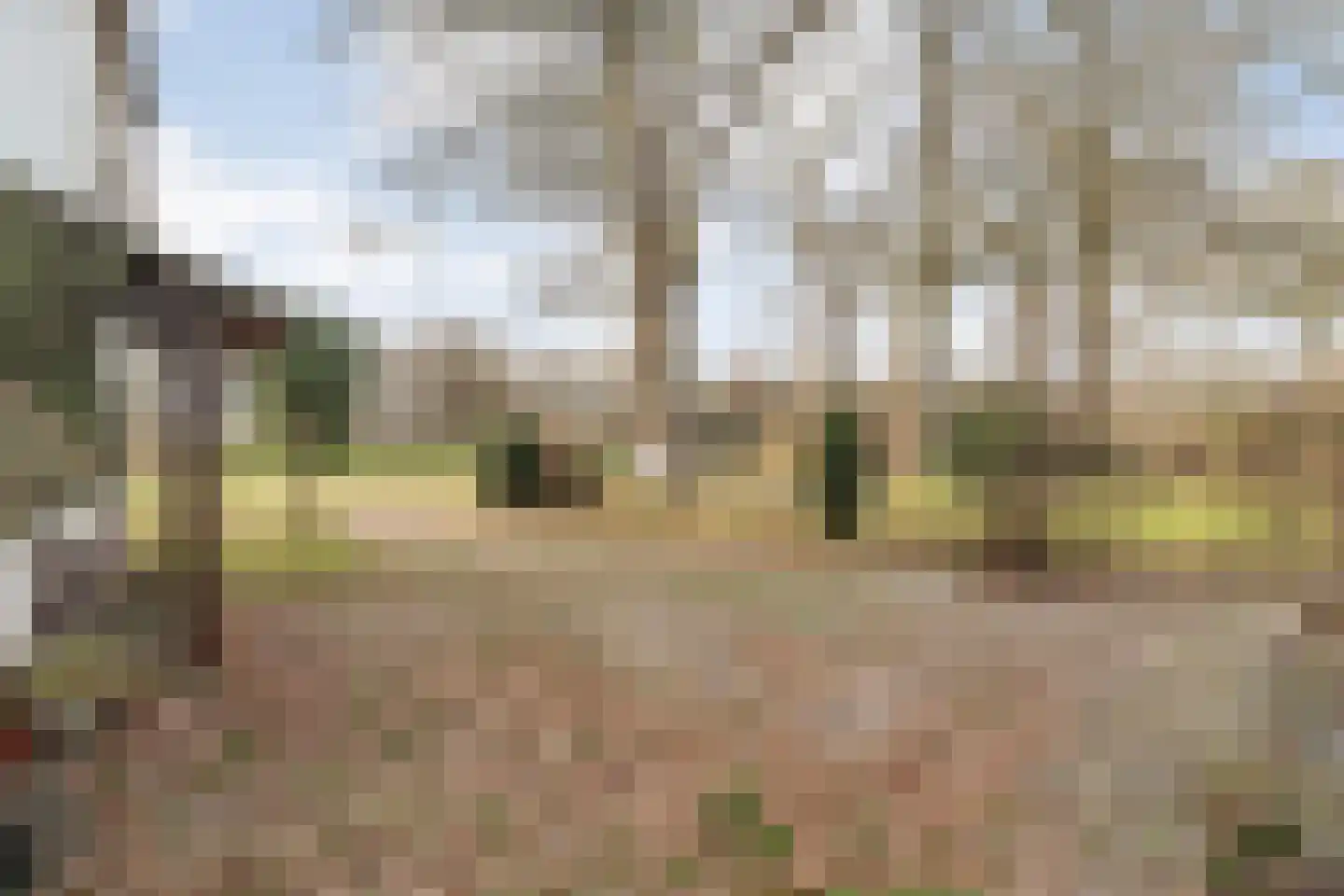 Oude Zwolsestraat 16 Raalte thumbnail 58