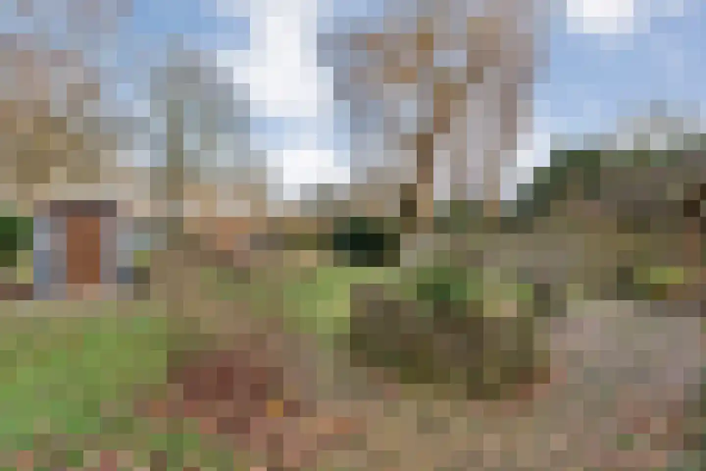 Oude Zwolsestraat 16 Raalte thumbnail 59