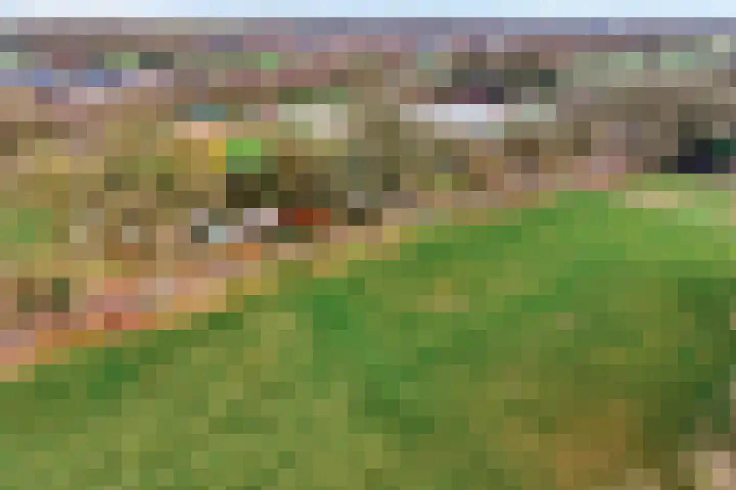 Oude Zwolsestraat 16 Raalte thumbnail 6