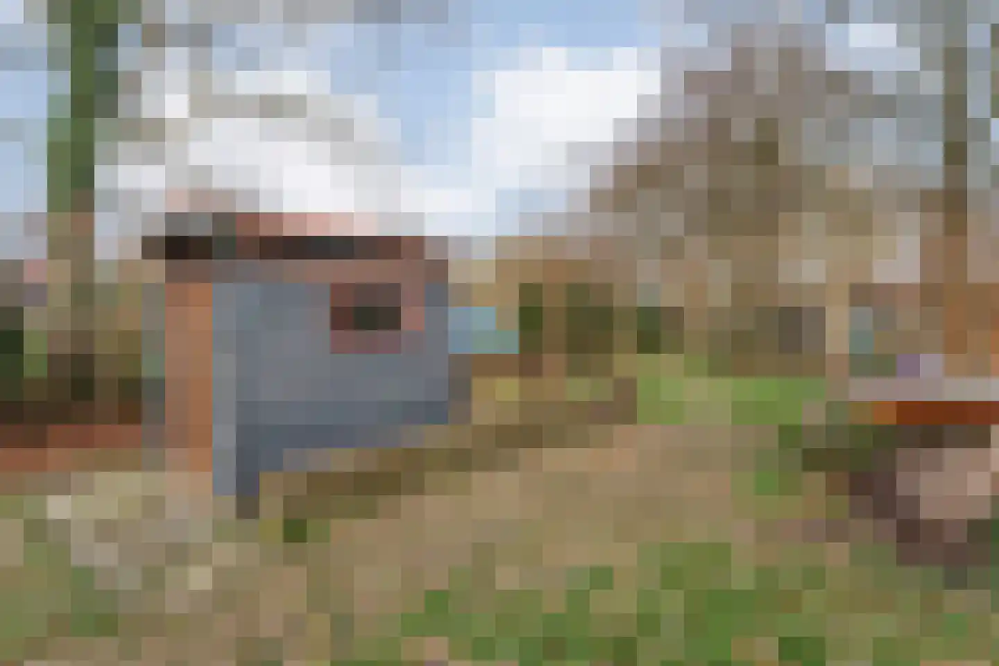Oude Zwolsestraat 16 Raalte thumbnail 61