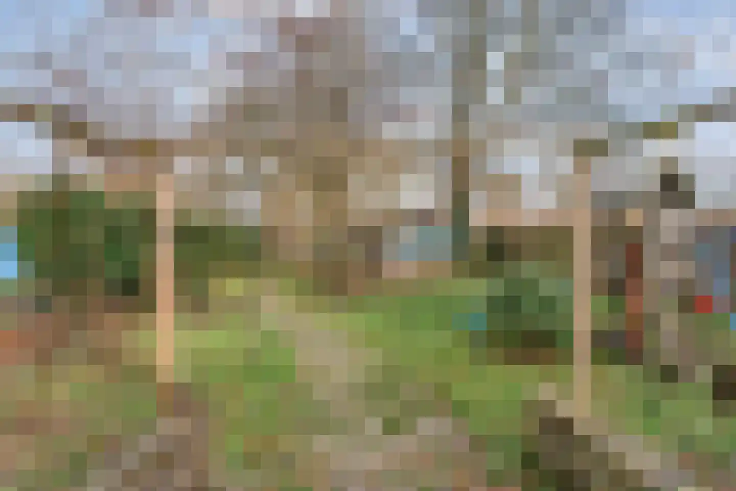 Oude Zwolsestraat 16 Raalte thumbnail 62