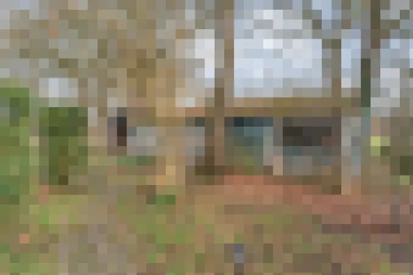 Oude Zwolsestraat 16 Raalte thumbnail 65