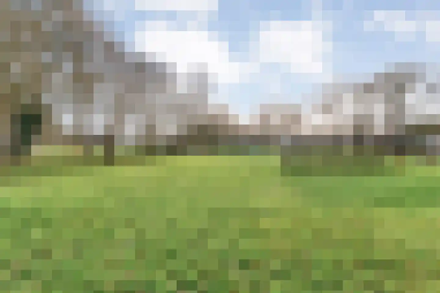 Oude Zwolsestraat 16 Raalte thumbnail 67