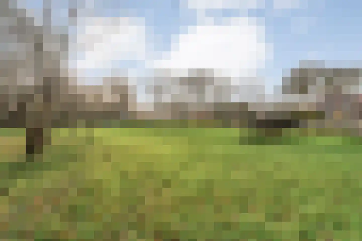 Oude Zwolsestraat 16 Raalte thumbnail 68