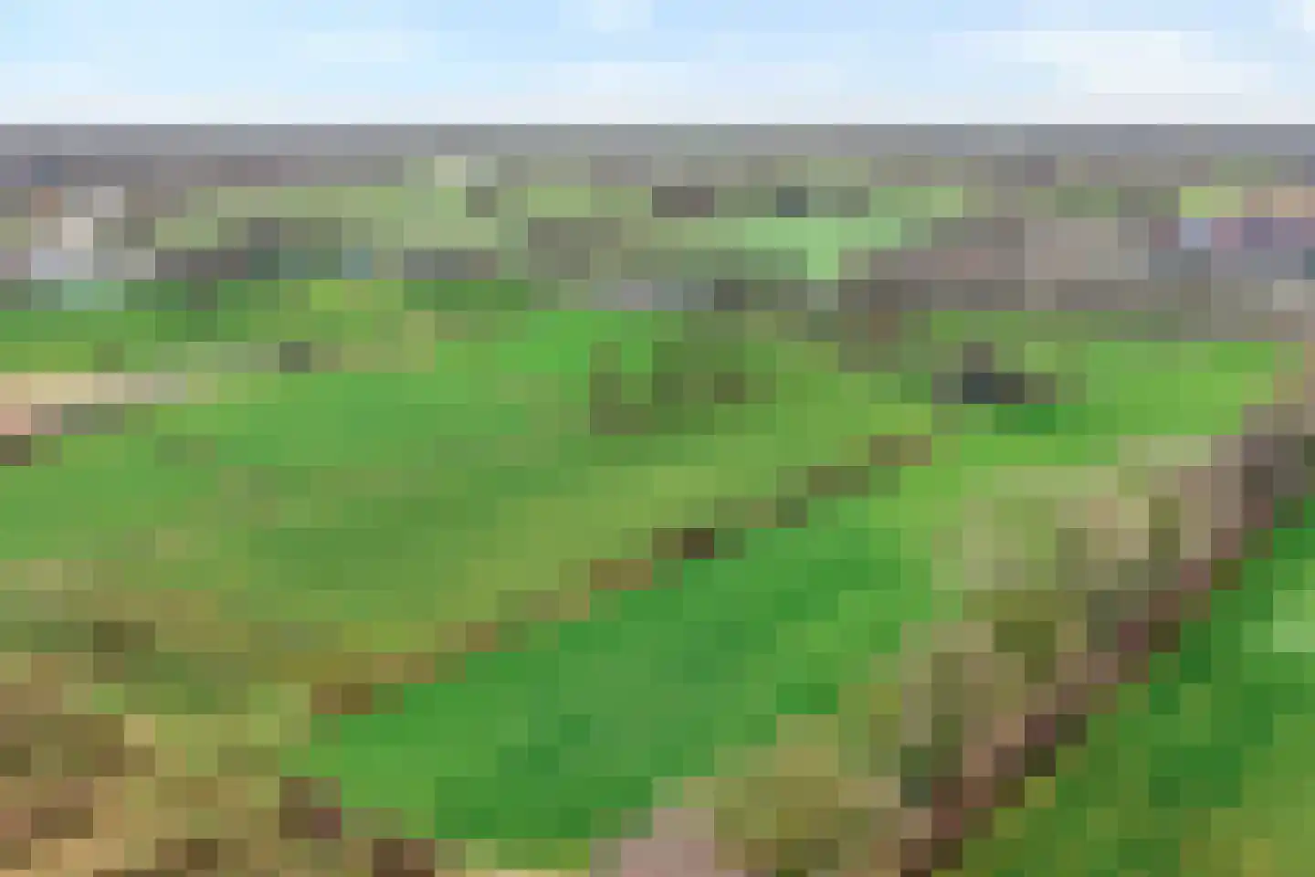 Oude Zwolsestraat 16 Raalte thumbnail 7