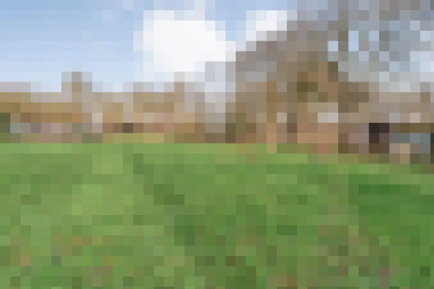 Oude Zwolsestraat 16 Raalte thumbnail 72