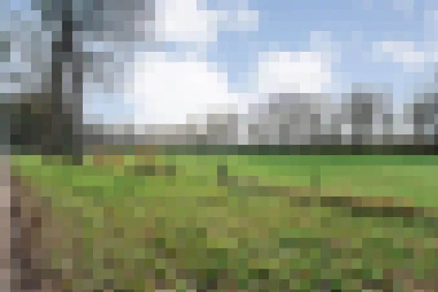 Oude Zwolsestraat 16 Raalte thumbnail 73