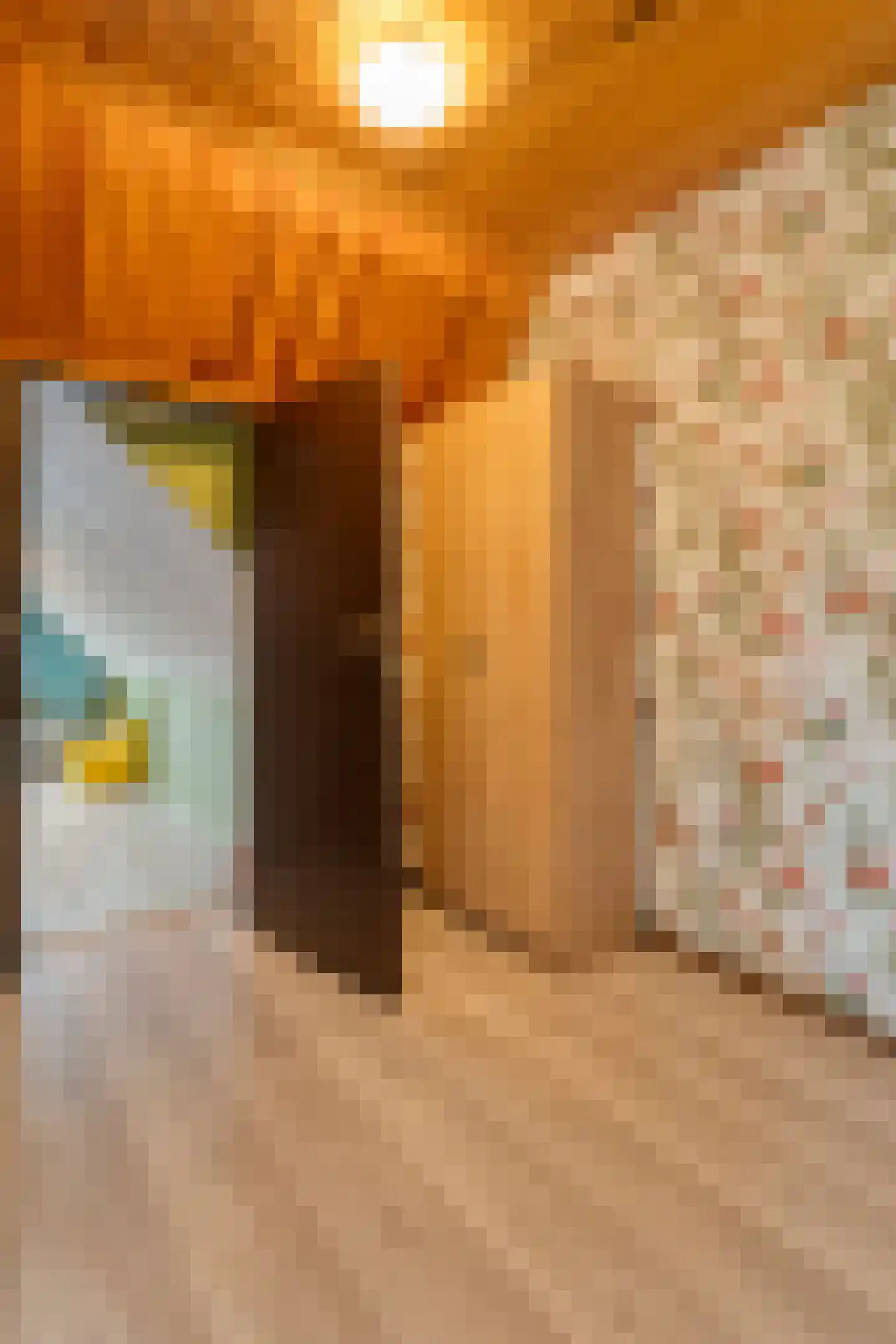 Oude Zwolsestraat 16 Raalte thumbnail 75