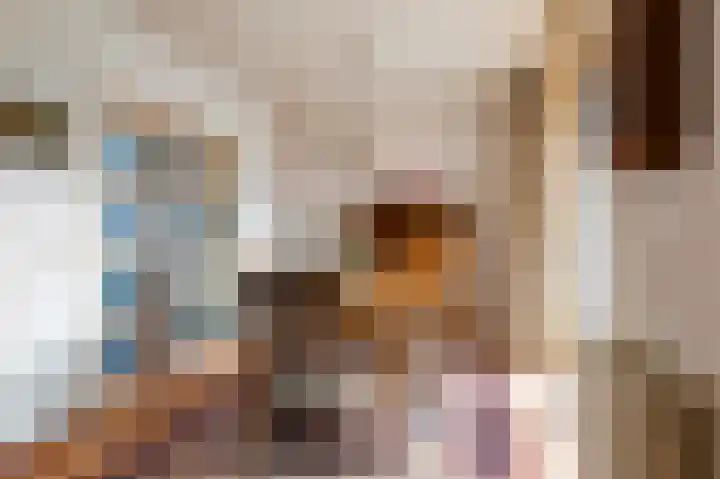 Oude Zwolsestraat 8 Wierden thumbnail 12