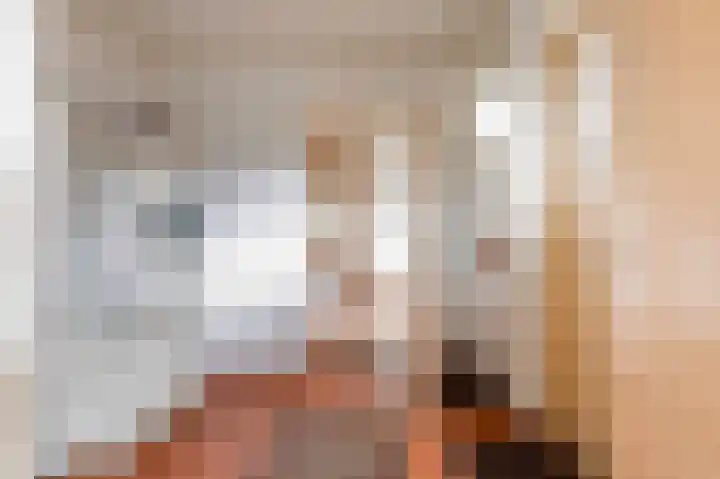 Oude Zwolsestraat 8 Wierden thumbnail 15