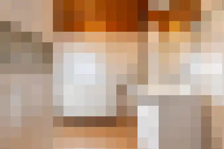 Oude Zwolsestraat 8 Wierden thumbnail 29