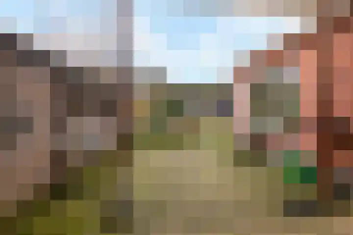Oude Zwolsestraat 8 Wierden thumbnail 39