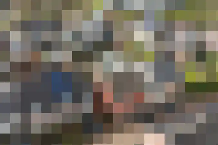 Oude Zwolsestraat 8 Wierden thumbnail 4