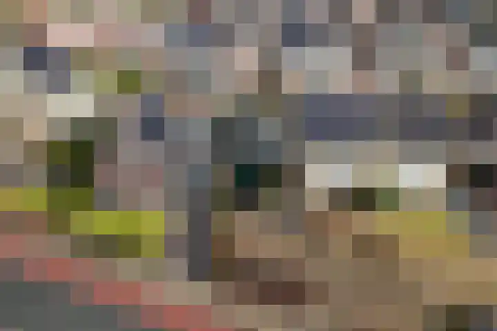 Oude Zwolsestraat 8 Wierden thumbnail 41