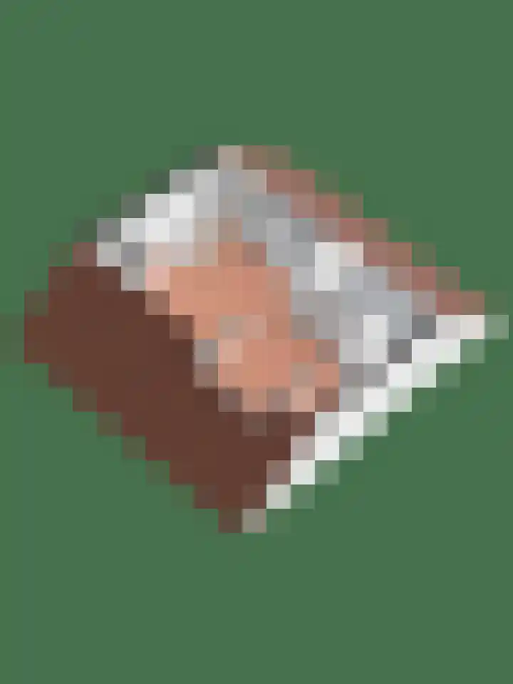 Oude Zwolsestraat 8 Wierden thumbnail 47
