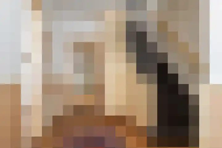 Oude Zwolsestraat 8 Wierden thumbnail 6
