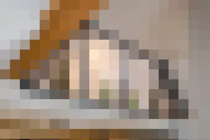 Oude Zwolseweg 1 Vinkenbuurt thumbnail 18