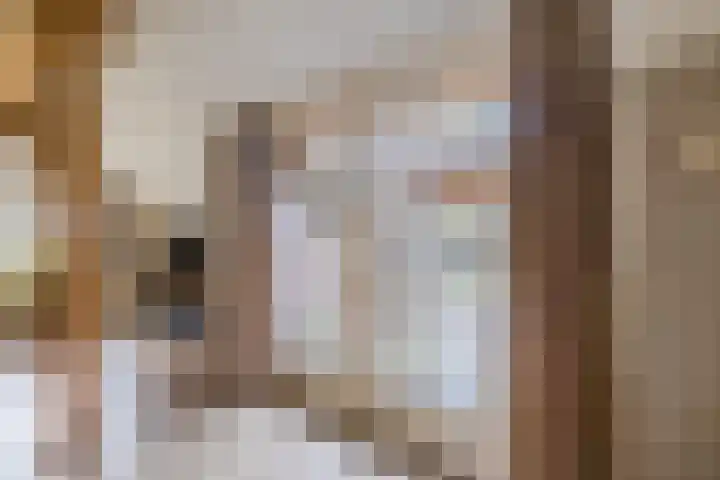 Oude Zwolseweg 1 Vinkenbuurt thumbnail 20