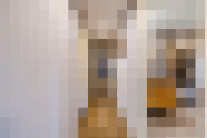 Oude Zwolseweg 1 Vinkenbuurt thumbnail 25