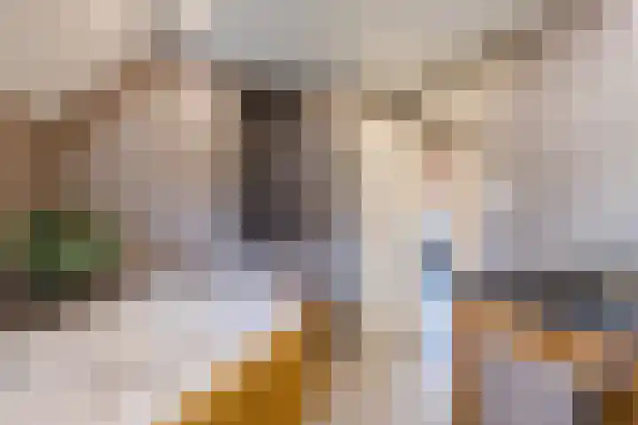 Oude Zwolseweg 1 Vinkenbuurt thumbnail 26