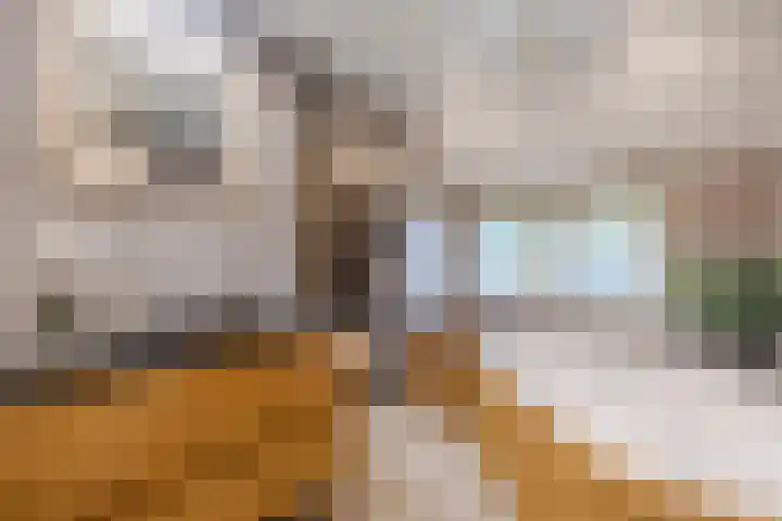 Oude Zwolseweg 1 Vinkenbuurt thumbnail 27