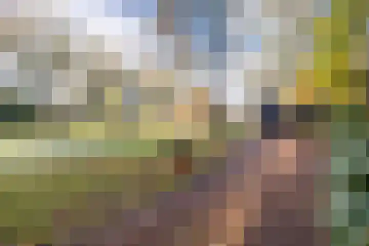 Oude Zwolseweg 1 Vinkenbuurt thumbnail 4