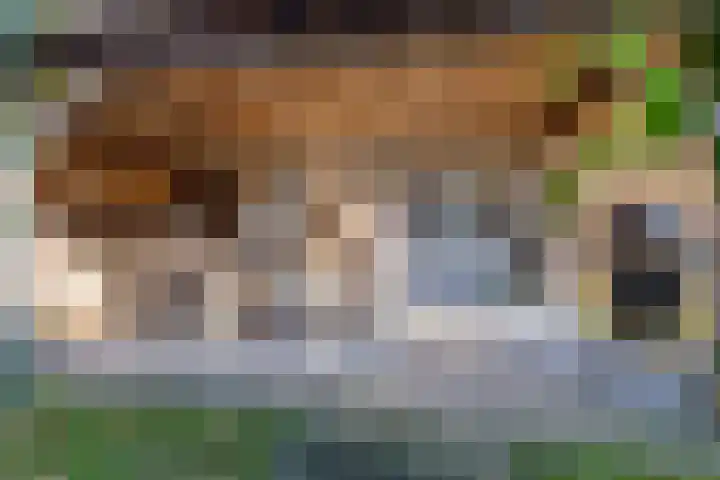 Oude Zwolseweg 1 Vinkenbuurt thumbnail 43