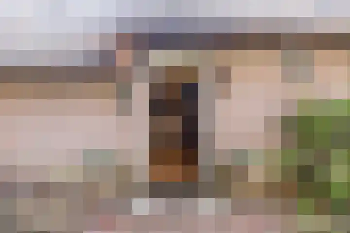 Oude Zwolseweg 1 Vinkenbuurt thumbnail 5