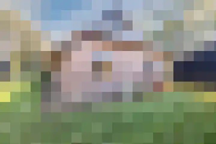 Oude Zwolseweg 1 Vinkenbuurt thumbnail 52