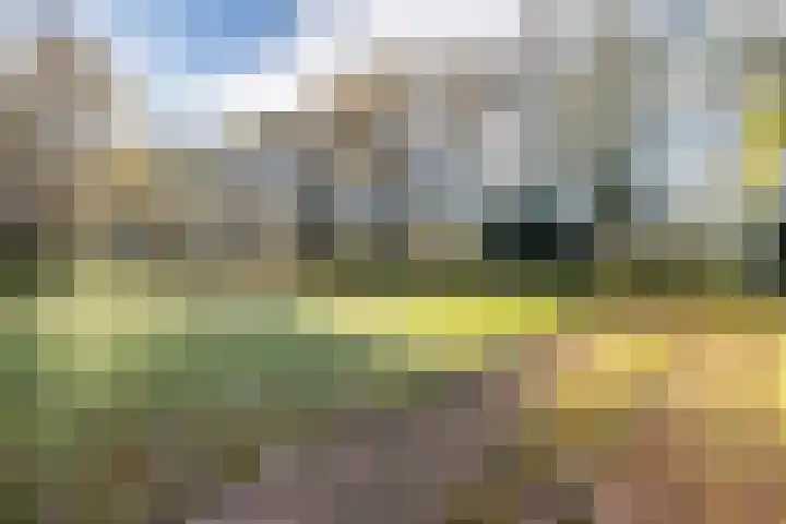 Oude Zwolseweg 1 Vinkenbuurt thumbnail 55