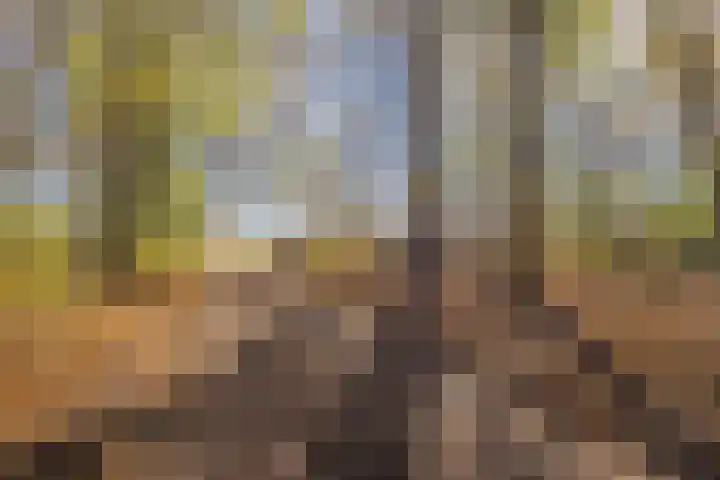Oude Zwolseweg 1 Vinkenbuurt thumbnail 64