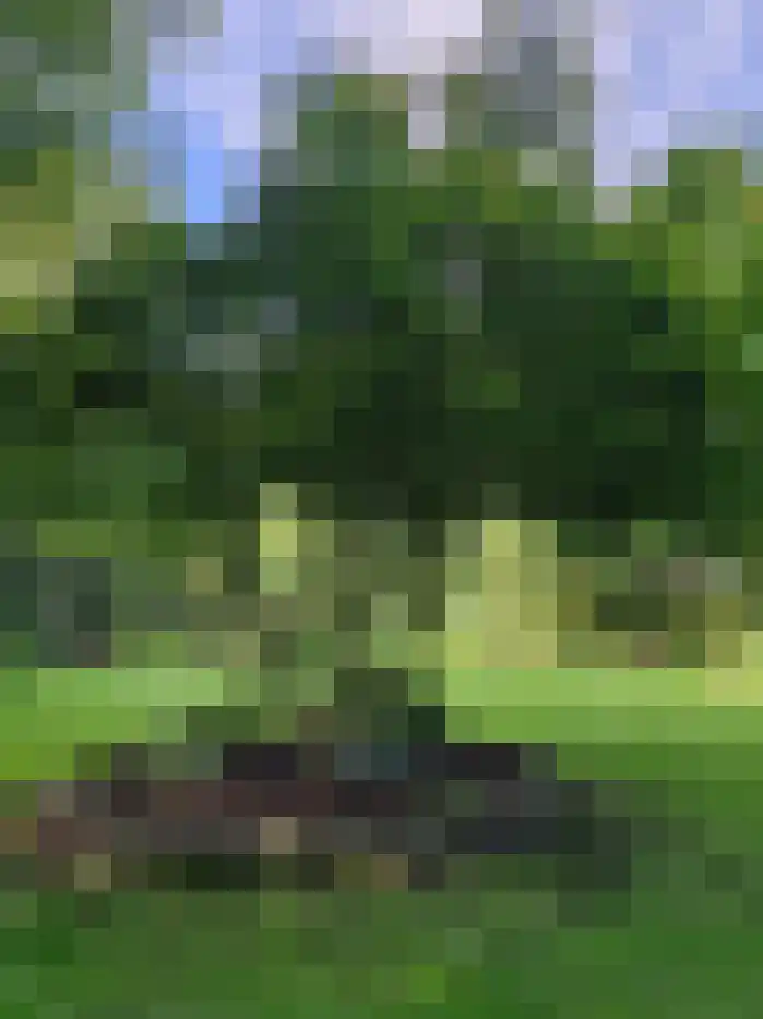 Oude Zwolseweg 1 Vinkenbuurt thumbnail 73