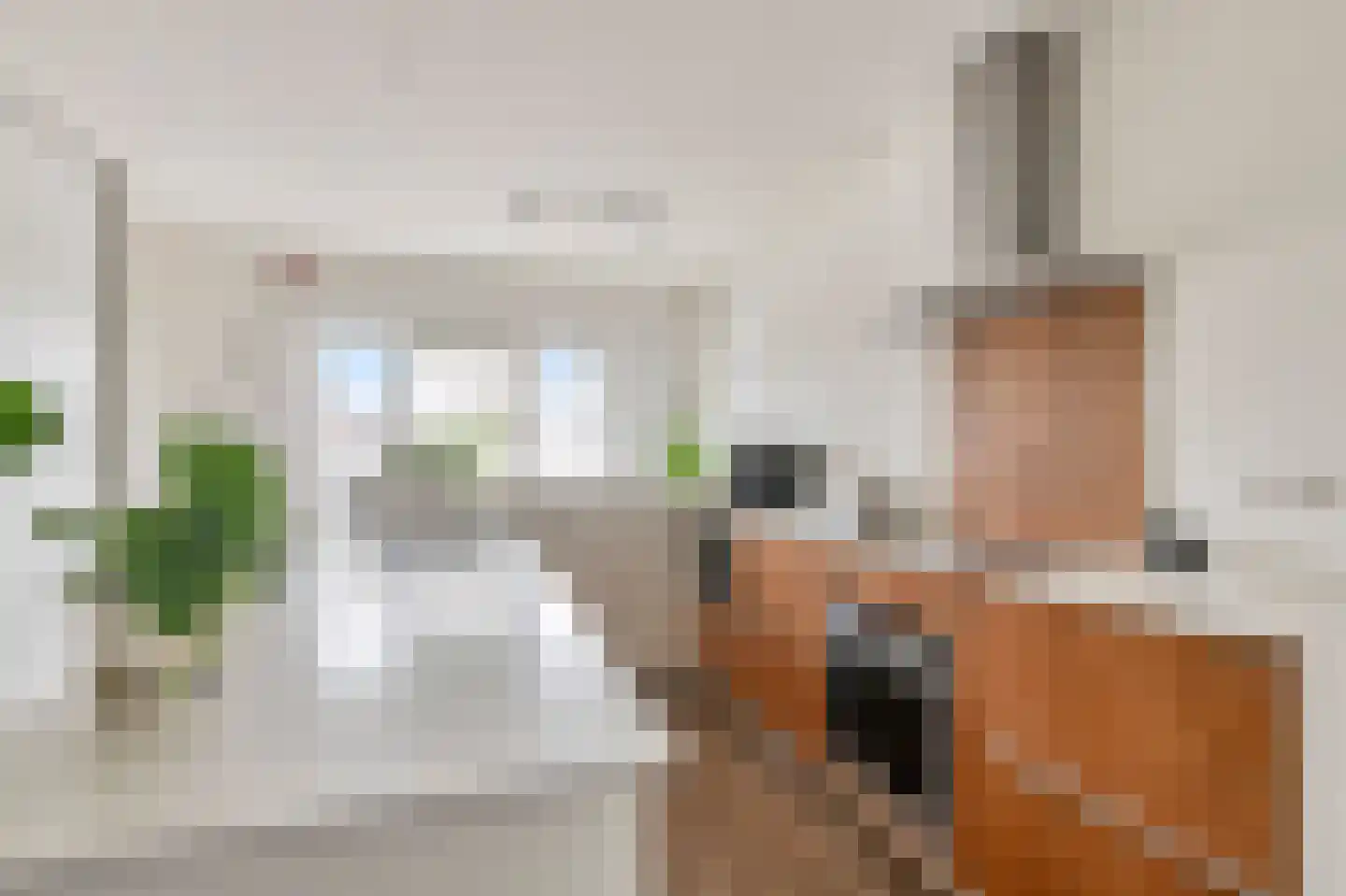 Oude Zwolseweg 43 Wenum Wiesel thumbnail 11