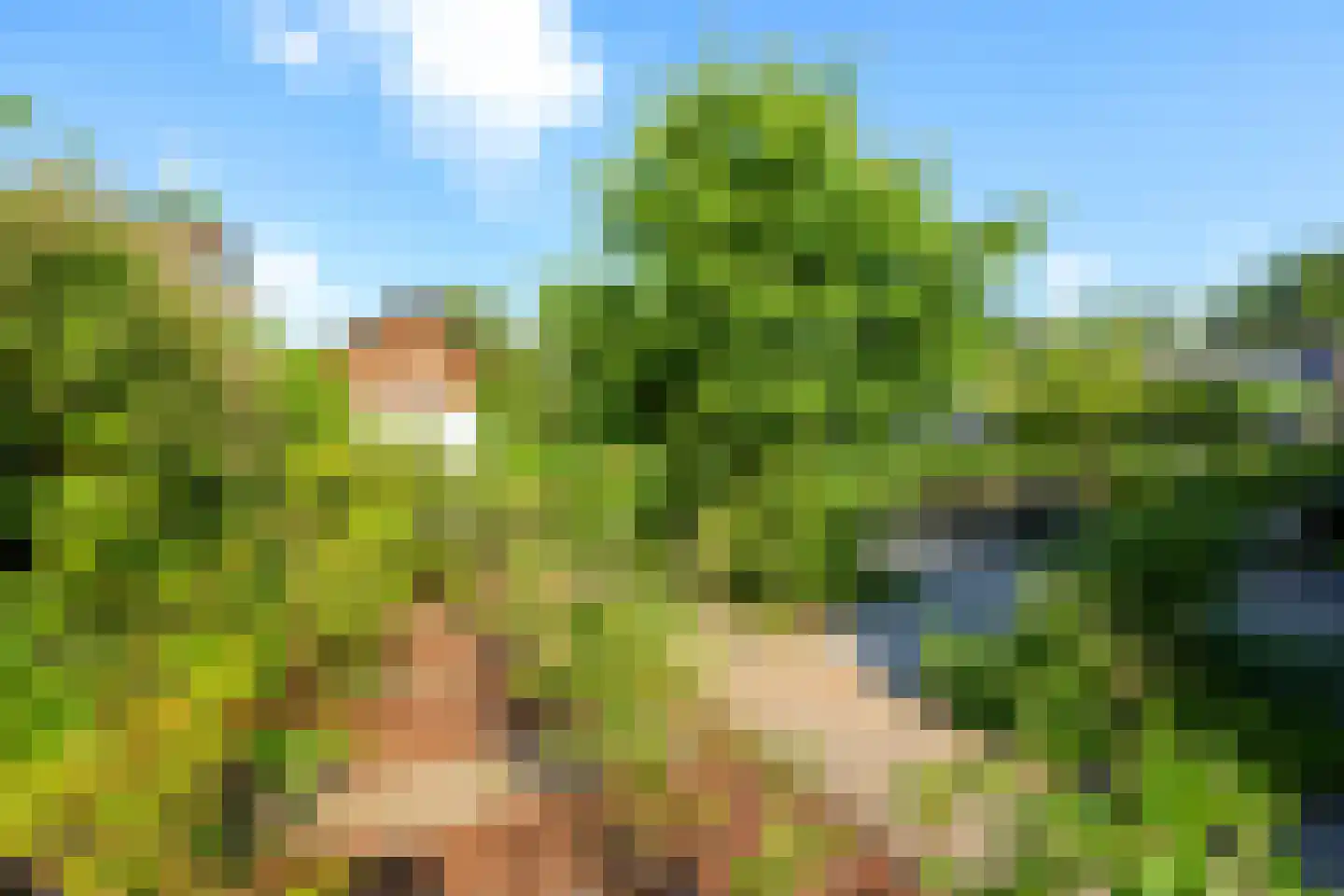 Oude Zwolseweg 43 Wenum Wiesel thumbnail 15