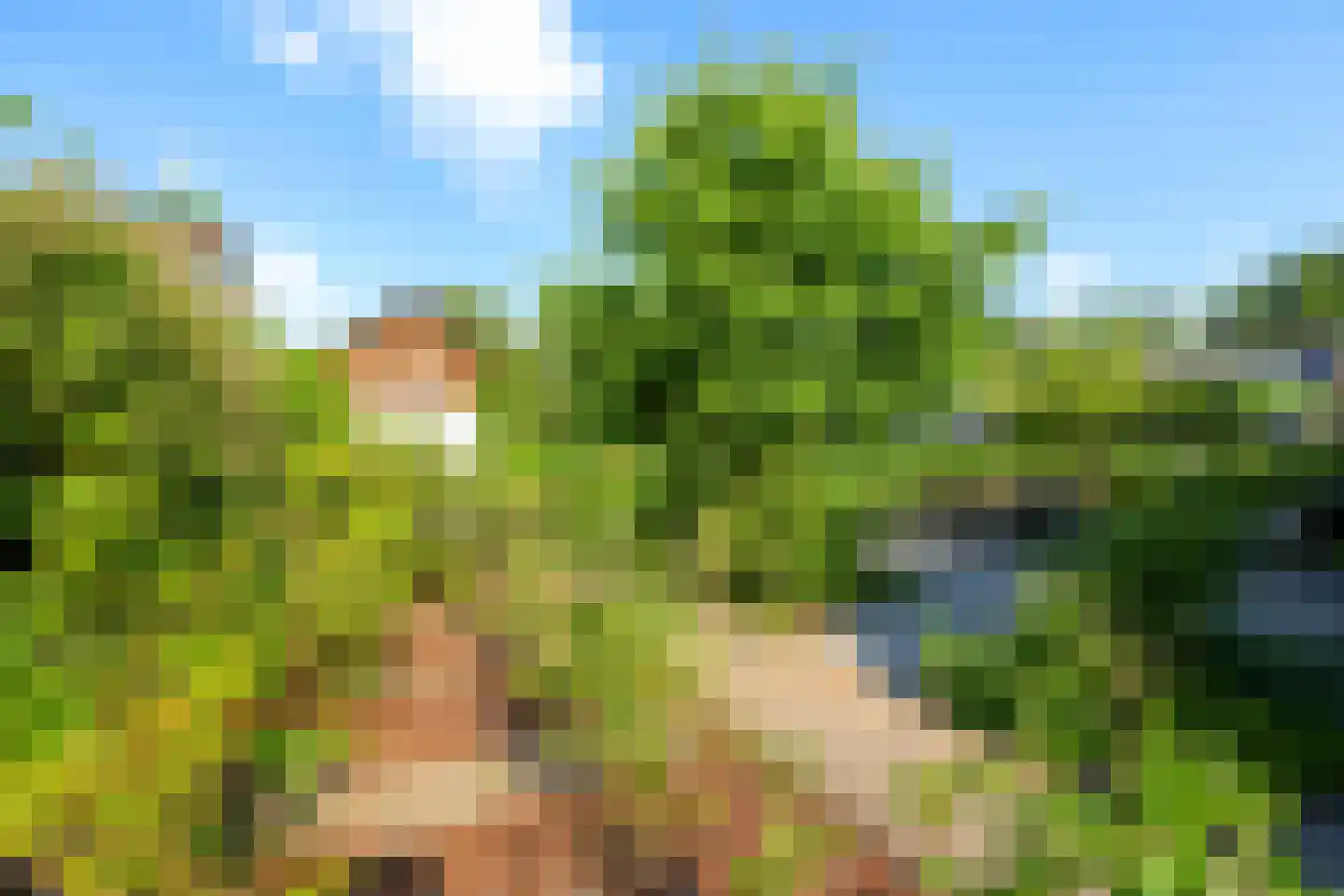 Oude Zwolseweg 43 Wenum Wiesel thumbnail 15