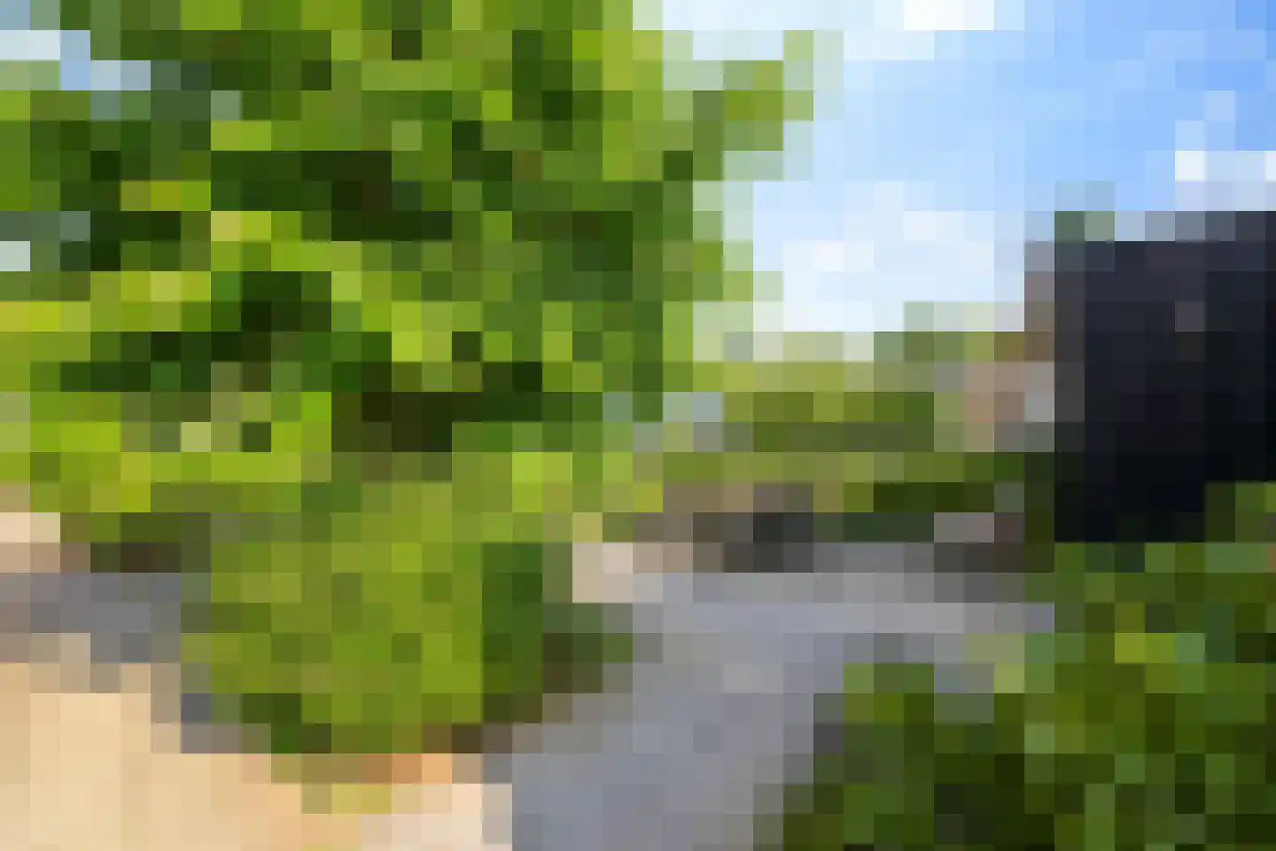 Oude Zwolseweg 43 Wenum Wiesel thumbnail 16
