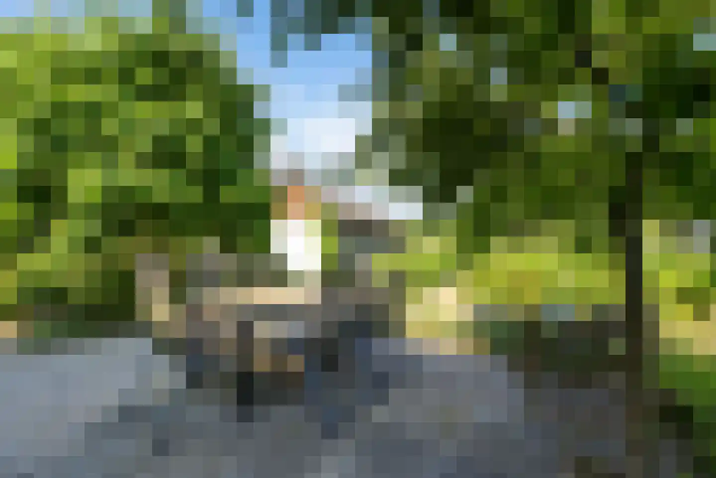 Oude Zwolseweg 43 Wenum Wiesel thumbnail 17