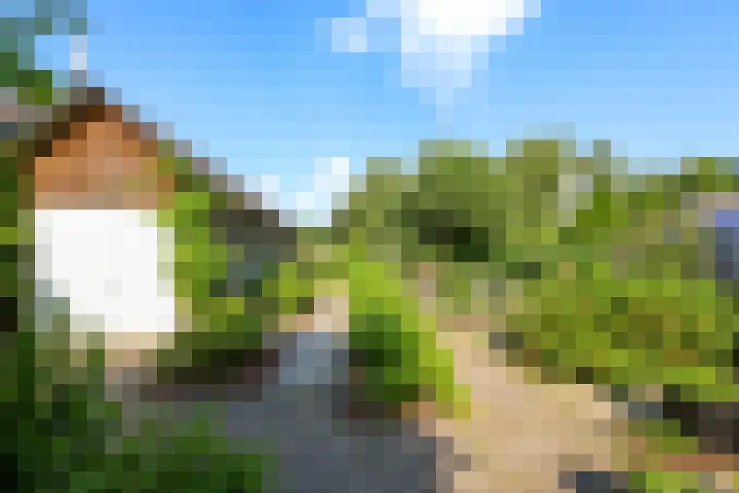Oude Zwolseweg 43 Wenum Wiesel thumbnail 18