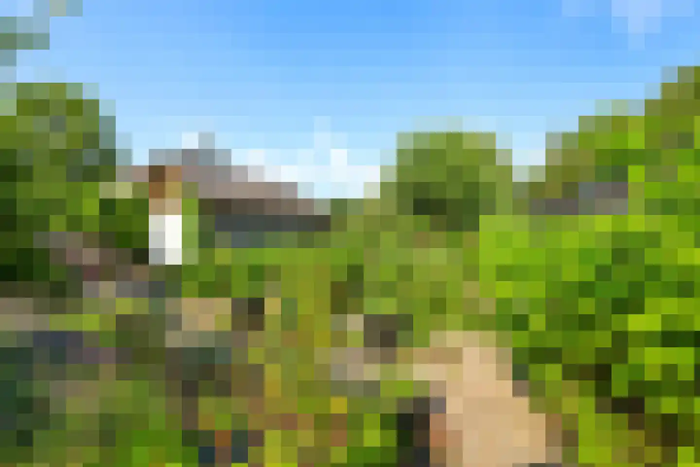 Oude Zwolseweg 43 Wenum Wiesel thumbnail 19