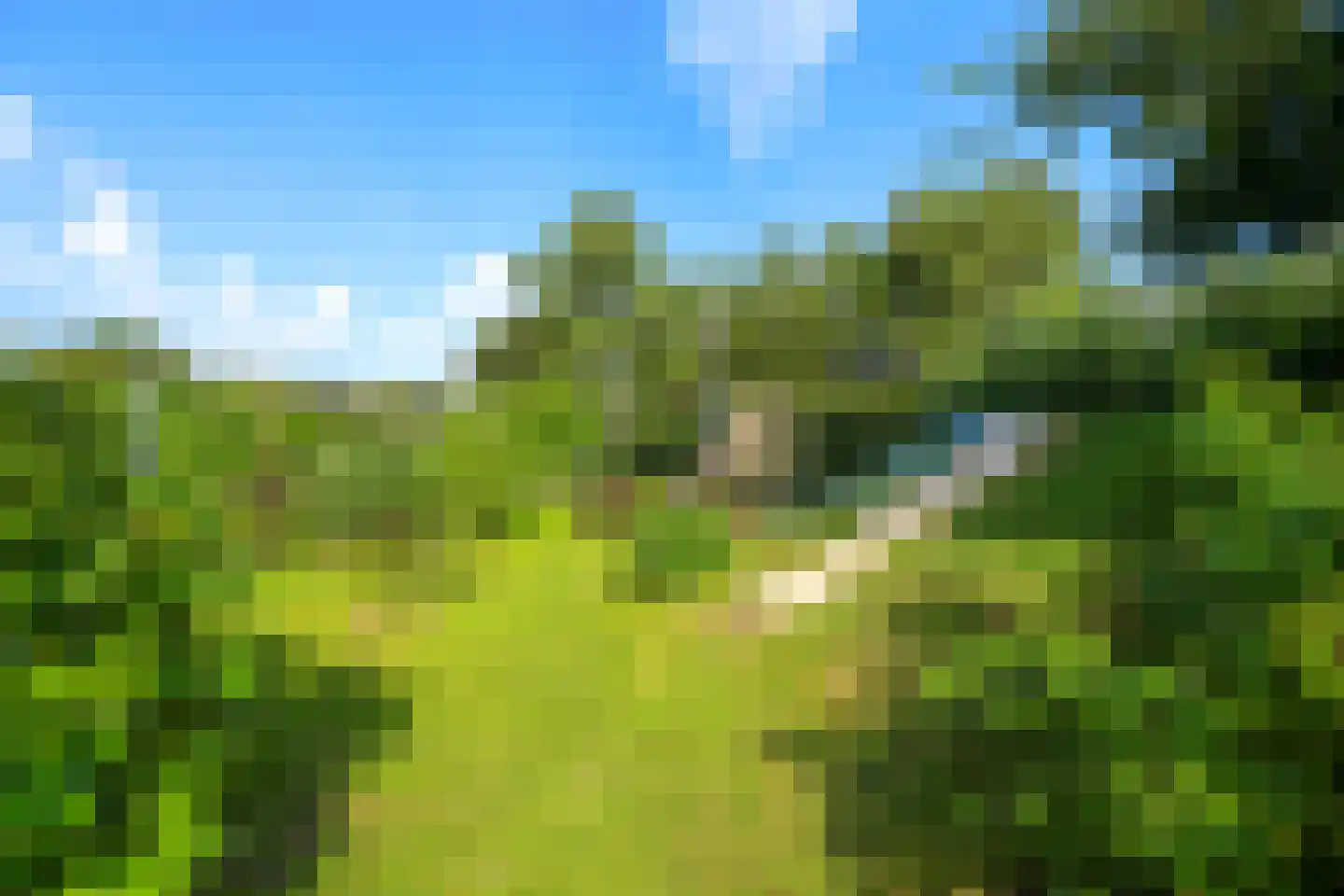 Oude Zwolseweg 43 Wenum Wiesel thumbnail 21