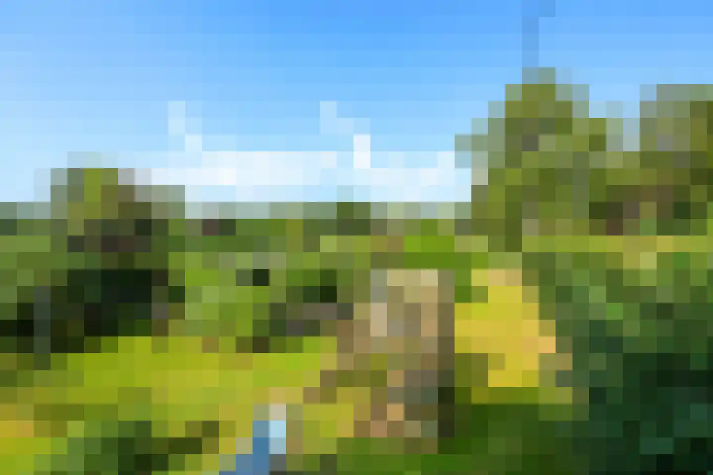 Oude Zwolseweg 43 Wenum Wiesel thumbnail 22