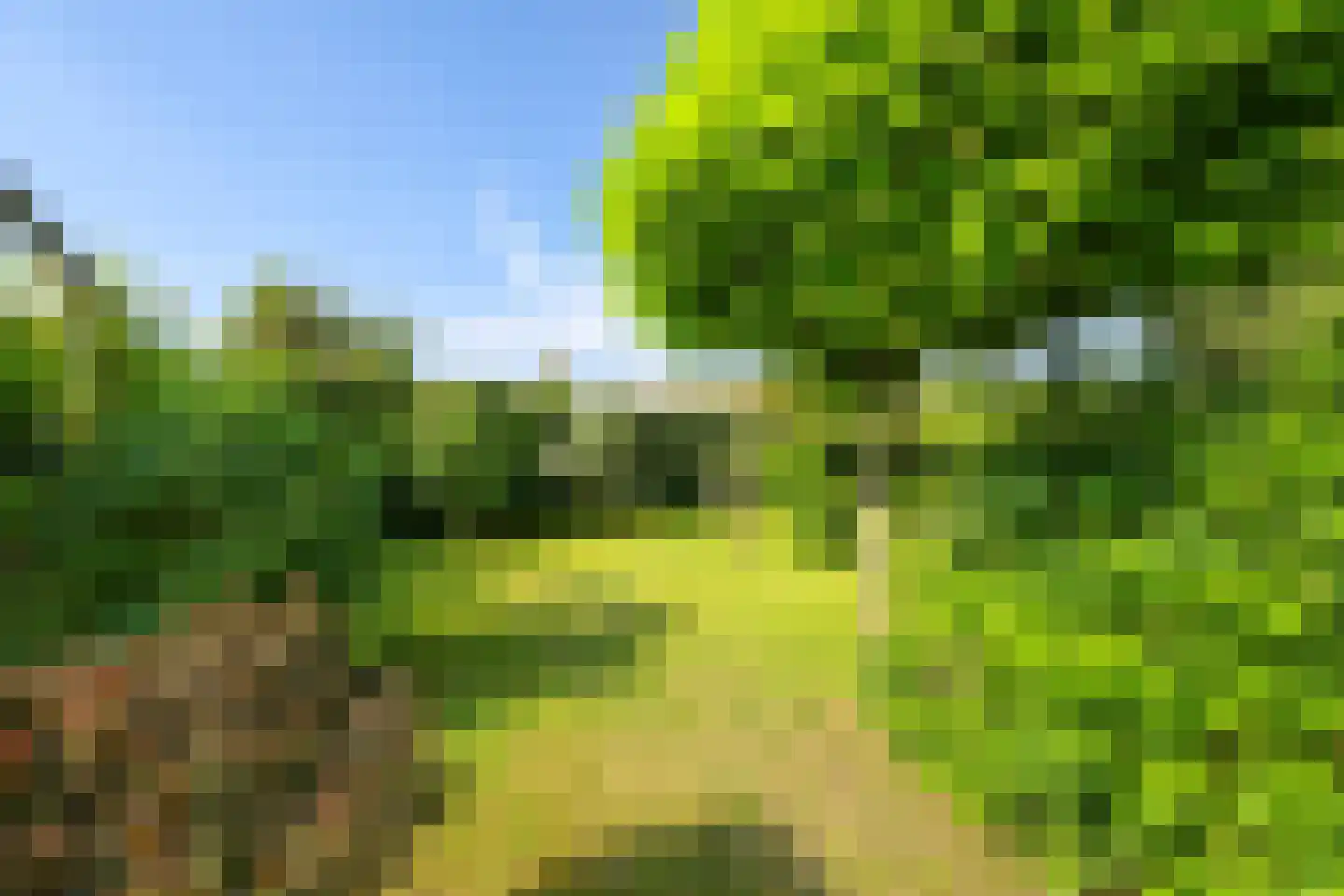 Oude Zwolseweg 43 Wenum Wiesel thumbnail 24