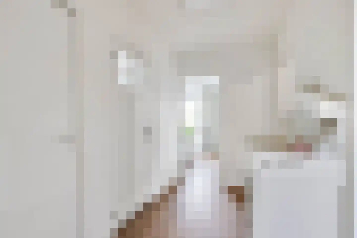 Oude Zwolseweg 43 Wenum Wiesel thumbnail 24
