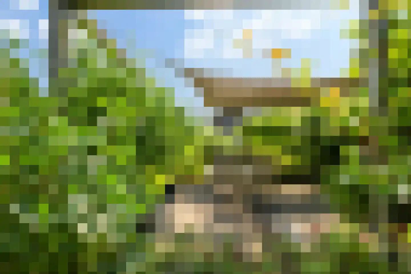 Oude Zwolseweg 43 Wenum Wiesel thumbnail 27