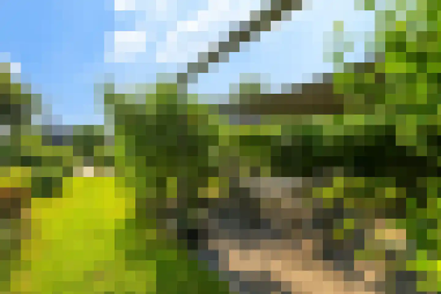 Oude Zwolseweg 43 Wenum Wiesel thumbnail 28